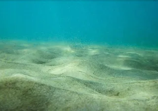 Oceans losing 'memory' due to global warming