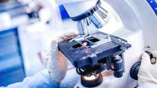 Researchers reverse ageing in human cells by 30 years