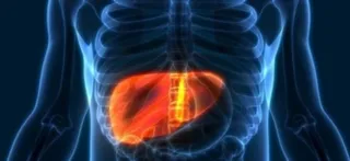 Hepatitis cases among children rising globally: Study