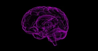 Study reveals possible cause of long Covid 'brain fog'