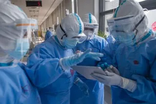 Covid virus jumped to humans at Wuhan market, didn't leak from lab: Studies