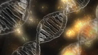 Scientists discover world's oldest DNA, breaks record by 1 mn years