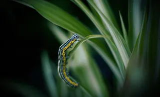 Curtailing pollution can reduce superbugs: UNEP report