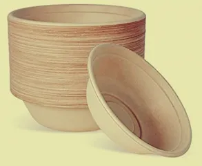 Paper bags, compostable food packages may contain toxic chemicals: Study