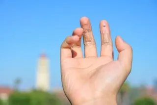 New soft 'e-skin' mimics human sense of touch, talks to brain