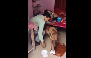 Major theft at Utkal University: Ornaments, cash worth over Rs 12 lakh stolen from staff quarters