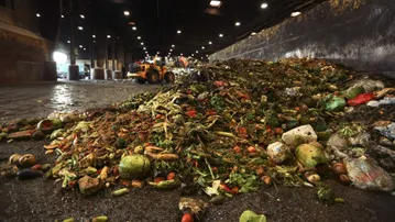 food waste