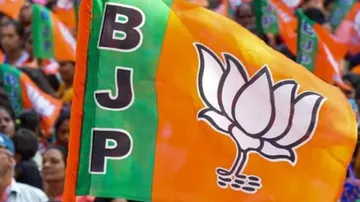 BJP Flag