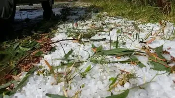 Hailstorm