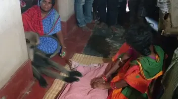 Monkey attends funeral