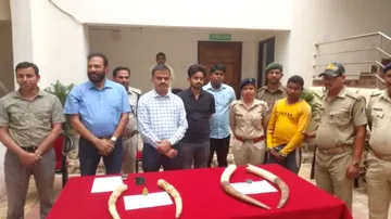 Elephant tusks seized