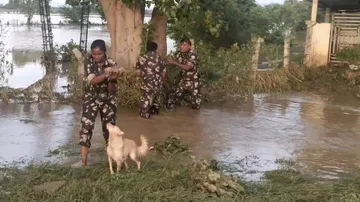 Rescue Man And Dog
