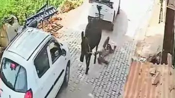 Cow ‌Dragged Old Man