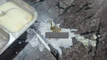 Posted By Social Media 