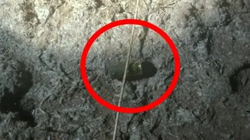  Gunfire at umuri of Jeypore