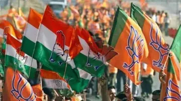 Congress and bjp flag