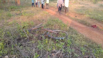 Elephant Attack Place