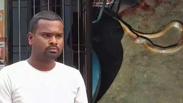 Ganesh and dead snake