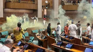 parliament security lapse