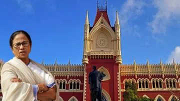 calcutta high court on sandeshkhali