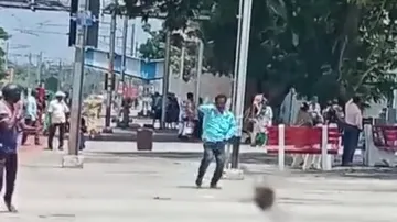  Bees attack passengers