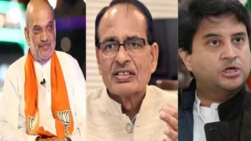 Heavy Weight Candidates