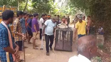 Monkey Trap cage
