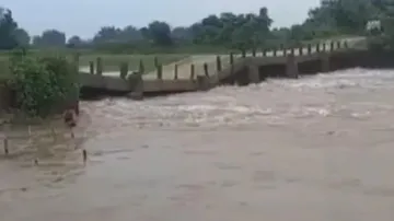 Bridge Collapses 