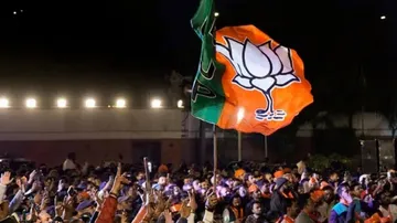 BJP Celebrates Delhi Win