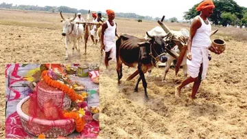 Paddy Sowing Begins On Akshaya Trutiya