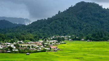 Representative Image