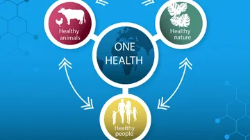 One Health