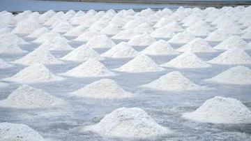 Salt Farm
