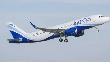 indigo 