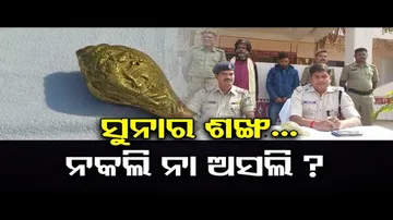 ସୁନା ଶଙ୍ଖ ଲୋଭ ଦେଖାଇ ୨ ଗିରଫ