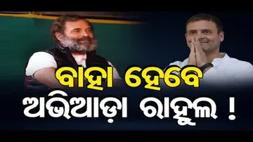 ବିବାହ ପାଇଁ କେମିତିକା ଝିଅ ଖୋଜୁଛନ୍ତି ରାହୁଲ ଗାନ୍ଧି
