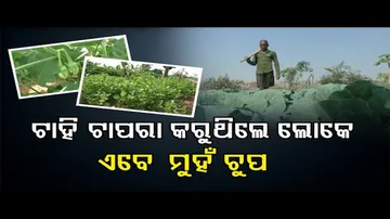 ଲୋକେ ଟାହି ଟାପରା କରୁଥିଲେ, ଏବେ ମୁହଁ ଚୁପ୍!