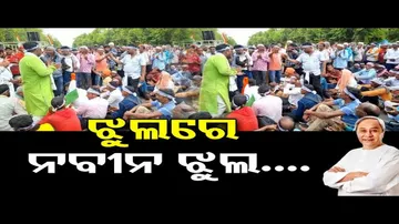 ଝୁଲରେ ନବୀନ ଝୁଲ...