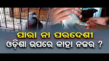 ପାରା ନା ପରଦେଶୀ, ଓଡ଼ିଶା ଉପରେ କାହା ନଜର ?