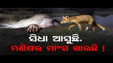 ସିଧା ଆସୁଛି, ମଣିଷର ମାଂସ ଖାଉଛି !