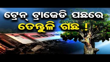 ଟ୍ରେନ ଟ୍ରାଜେଡି ପଛରେ ତେନ୍ତୁଳି ଗଛ !