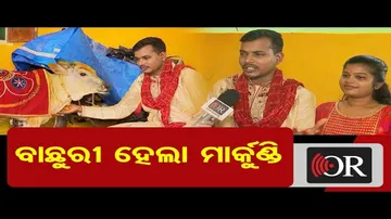 ମାର୍କଣ୍ଡି ସାଜିଛି ବାଛୁରୀ