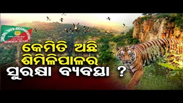 କେମିତି ଅଛି ଶିମିଳିପାଳର ସୁରକ୍ଷା ବ୍ୟବସ୍ଥା ?