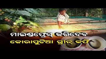  ବିଶ୍ୱ ଚାଖୁଛି କୋରାପୁଟ କଫିର ସ୍ୱାଦ