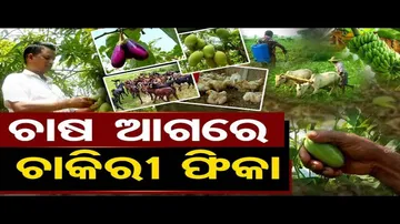 ଚାଷ ଆଗରେ ଚାକିରୀ ଫିକା