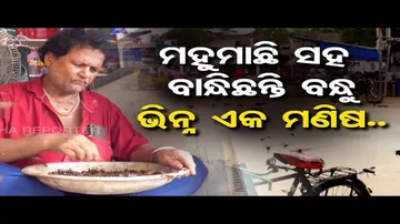 ମହୁମାଛି ସହ ବାନ୍ଧିଛନ୍ତି ବନ୍ଧୁ