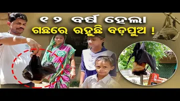 ୧୨ ବର୍ଷ ହେଲା ଗଛରେ ରହୁଛି ବଡ଼ପୁଅ !