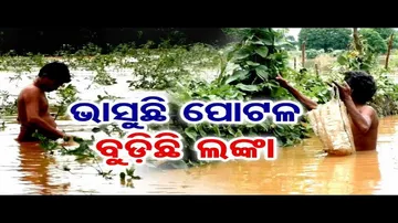 ଭାସୁଛି ପୋଟଳ, ବୁଡ଼ିଛି ଲଙ୍କା