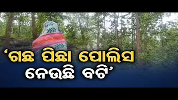‘ଗଛ ପିଛା ପୁଲିସ ନେଉଛି ବଟି’