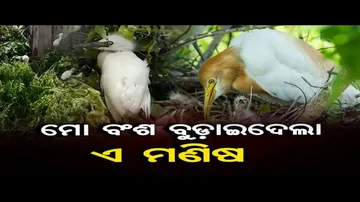 ମୋ ବଂଶ ବୁଡାଇଦେଲା ଏ ମଣିଷ